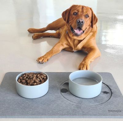 a dog that is laying down next to two bowls of food