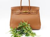 a brown leather handbag next to a green plant on a white background