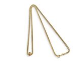 un collier en or avec une chaîne sur fond blanc