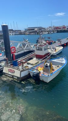 de nombreux bateaux amarrés au quai