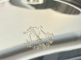 a silver plate with a crest on it sitting on a table