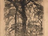 une image représentant un dessin d'un arbre dans un champ