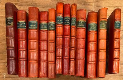 Plusieurs vieux livres sont alignés sur une étagère posée sur une table en bois