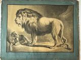 une vieille photo représentant un lion et un chien dans une pièce