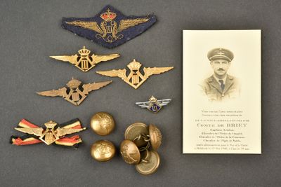 une photo d'une collection de pin's et de broches militaires