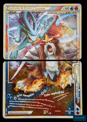 deux cartes Pokémon sur lesquelles figurent un lion et un dragon