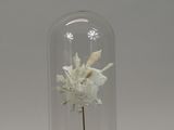 a glass bell jar with a flower inside of it