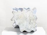 a white sculpture of a shell on a white pedestal