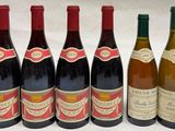 plusieurs bouteilles de vin sont alignées sur une table
