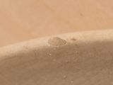 a small bug that is sitting in a bowl