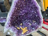 un amethorate violet posé sur une palette, avec un arbre en arrière-plan