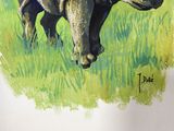 a painting of a rhino standing in the grass
