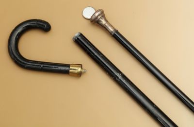 2 CANNES à système - L'une formant boîte à pilules - Photo 1