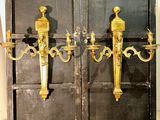 deux appliques dorées sur la porte d'un immeuble