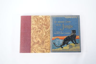 une photo d'un livre sur lequel figure un chat noir