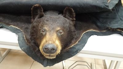 un ours en peluche assis sur un lit