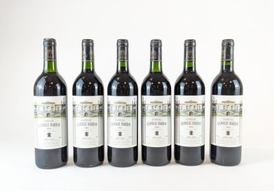 six bouteilles de vin sont alignées sur une surface blanche