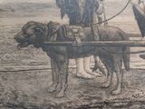 a drawing of a dog pulling a cart with a man on it