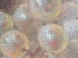 a painting of a bunch of grapes on a table