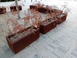 deux jardinières posées sur le trottoir