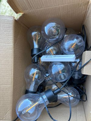 une boîte en carton contenant tout un tas d'ampoules