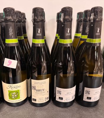 de nombreuses bouteilles de vin alignées sur le comptoir