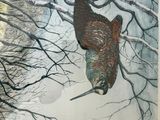 a picture of a painting of a bird hanging from a tree