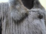 a close up of a fur coat on a mannequin mannequin mannequin mannequin mannequin mannequin mannequin
