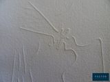 a picture of a drawing of a dragon on a piece of paper