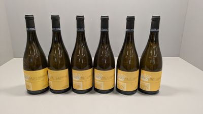six bouteilles de vin sont alignées sur une table