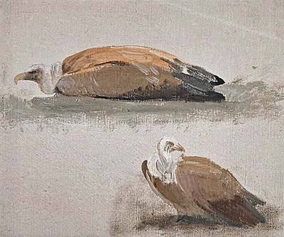 Charles VALTON (1851-1918) Etude de vautours.