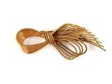 a close up of a gold bow with feathers on a white background