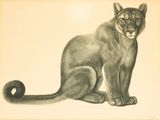 tableau représentant un chat noir assis par terre sur fond blanc