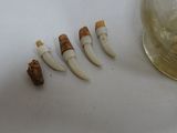 five toothbrushes sitting next to a glass on a table