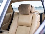 a close up of a car ' s front seat with a head rest
