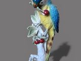 a blue and yellow bird sitting on top of a tree branch