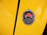 a close up of a badge on the side of a yellow car