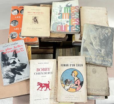 beaucoup de livres sur une table, avec un chien