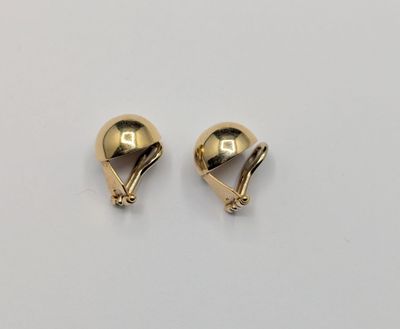 a pair of gold earrings on a white background