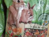un sac de provisions posé sur une table en bois