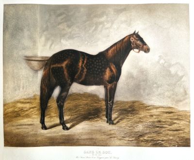 Adolphe Le Goupy () - Sans le sou. - Photo 1