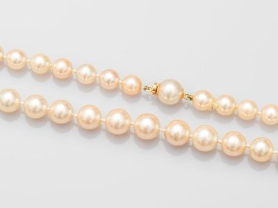 un collier à un rang de perles avec un fermoir en or