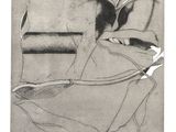an image of a black and white drawing of a horse and a bird