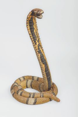 une image représentant un serpent sur fond blanc