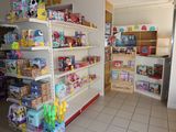 many toys on the shelves in the toy store