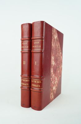 deux livres posés l'un sur l'autre sur une surface blanche