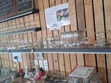 many glasses on the shelves in the store