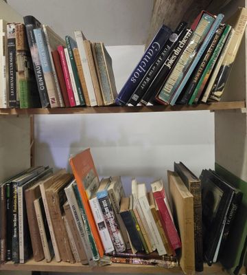 une étagère avec de nombreux livres dans une pièce