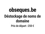 Photo 1/1 du lot