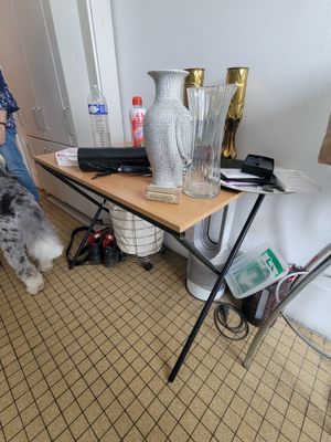 a dog standing next to a table with a vase on it